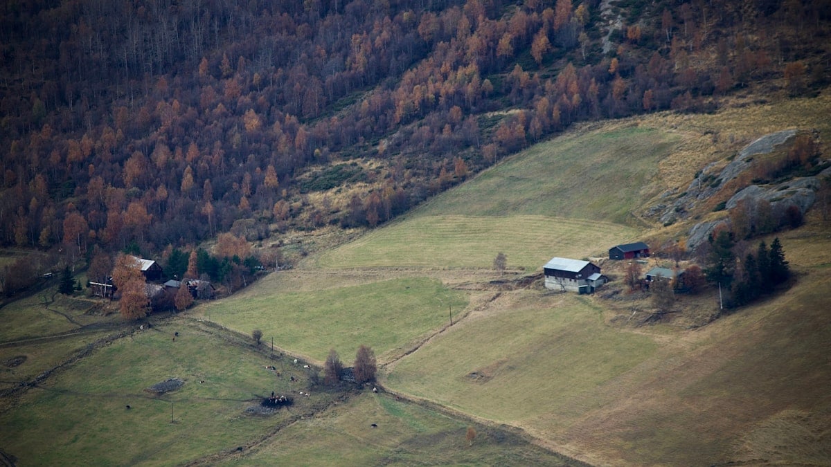 Vodič za uravnoteženu prehranu